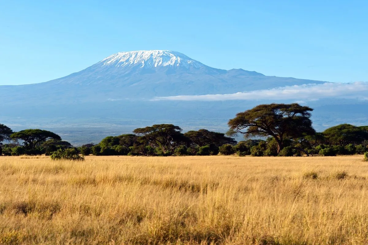 Amboseli Safari