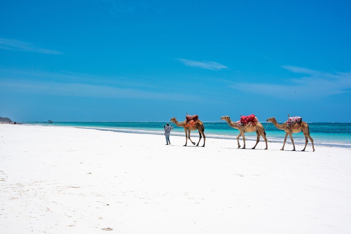 Diani Beach